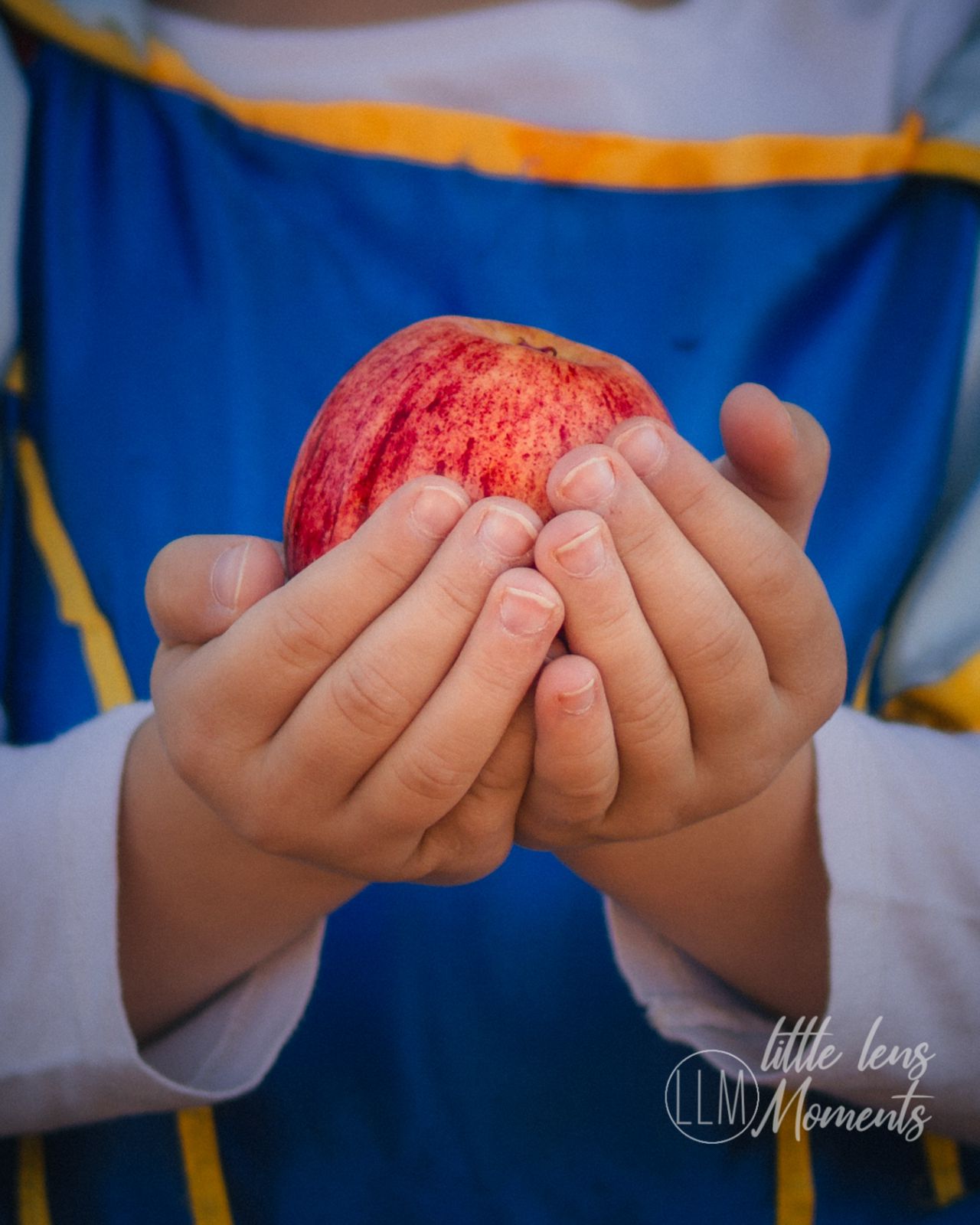 wereld-boekedag-laerskool-slot-van-paarl-wellington-primary (11)