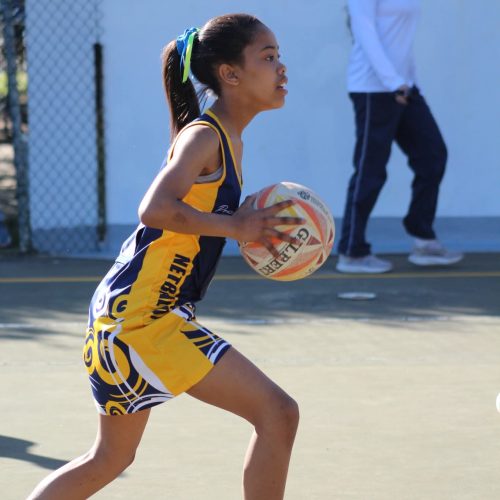laerskool-slot-paarl-netbal (1)