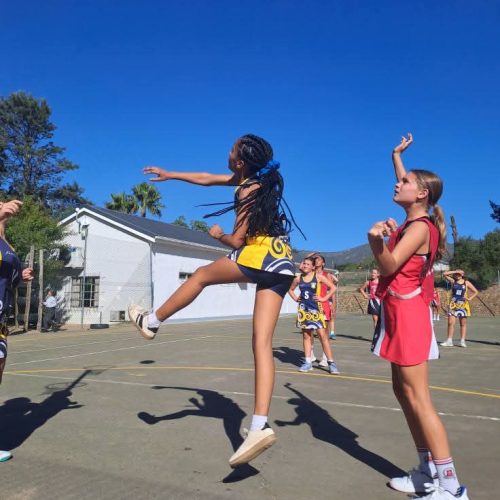 laerskool-slot-paarl-netbal (22)