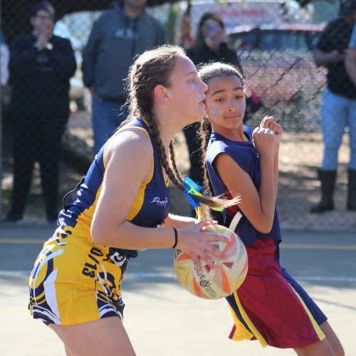 laerskool-slot-paarl-netbal (7)