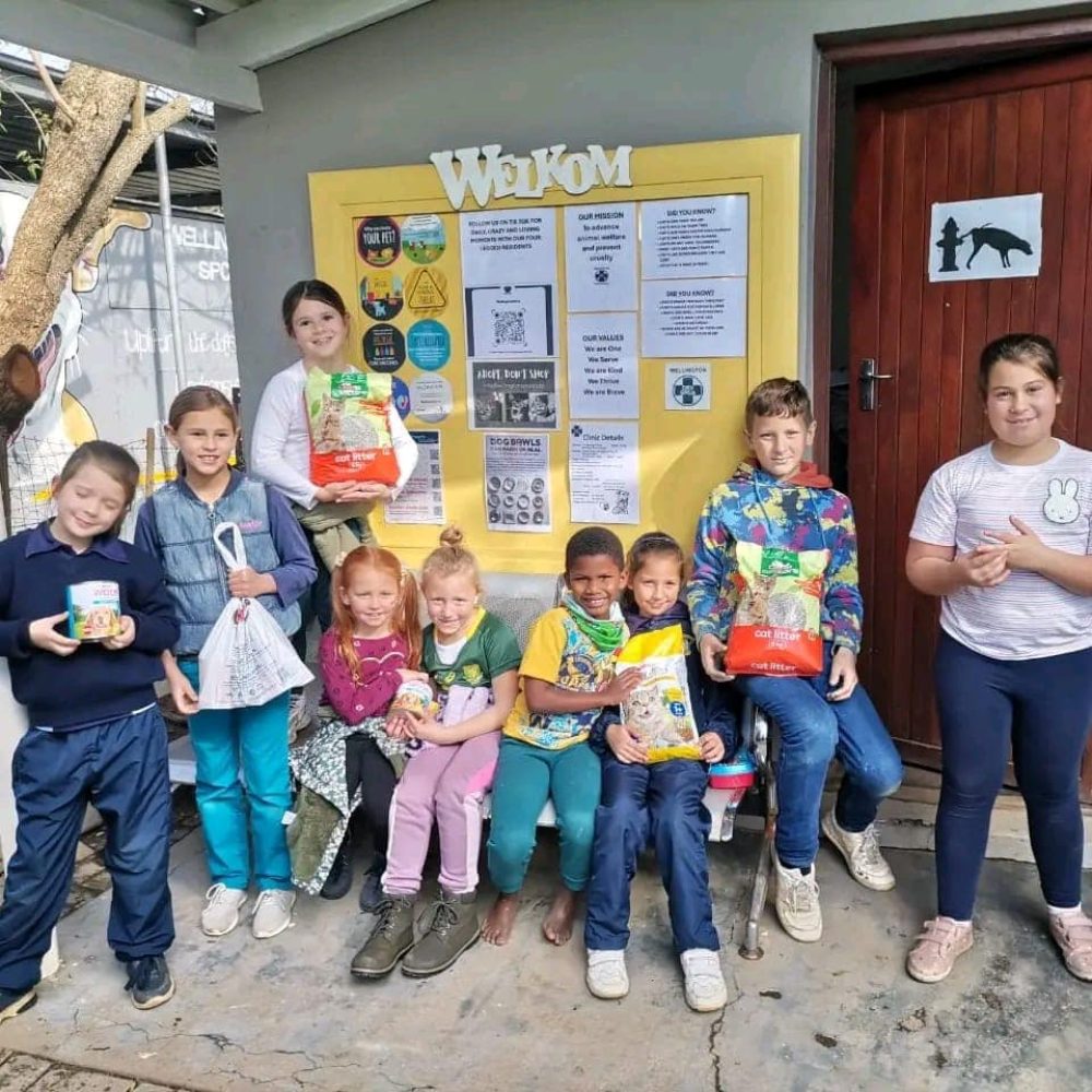 laerskool-slot-van-die-paarl (1)