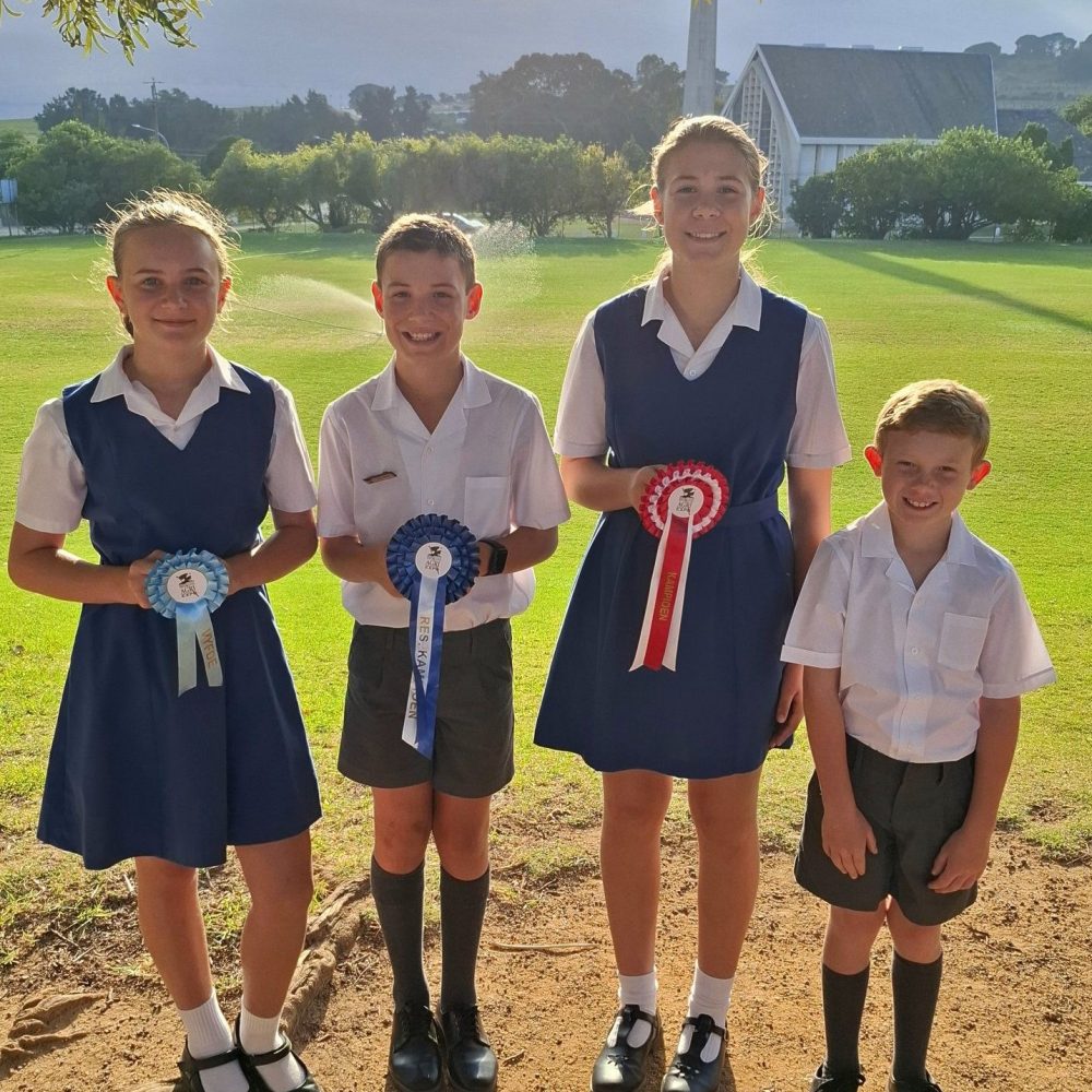 laerskool-slot-van-die-paarl (7)